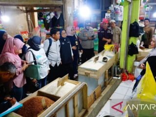 TPID sidak pasar tradisional cek stok dan harga beras di Kendari