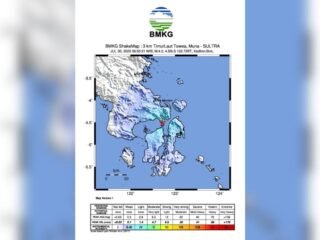 BMKG sebut aktivitas sesar aktif picu gempa di Towea Muna