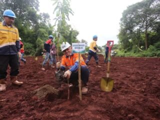 PT ANTAM Kolaka gelar penanaman pohon dan bakau dalam rangka HLH  sedunia