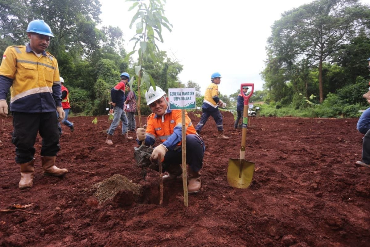 PT ANTAM Kolaka gelar penanaman pohon dan bakau dalam rangka HLH  sedunia