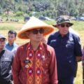 Bupati Kolaka panen raya padi bersama petani Wolo, tegaskan komitmen ketahanan pangan