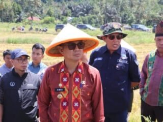 Bupati Kolaka panen raya padi bersama petani Wolo, tegaskan komitmen ketahanan pangan