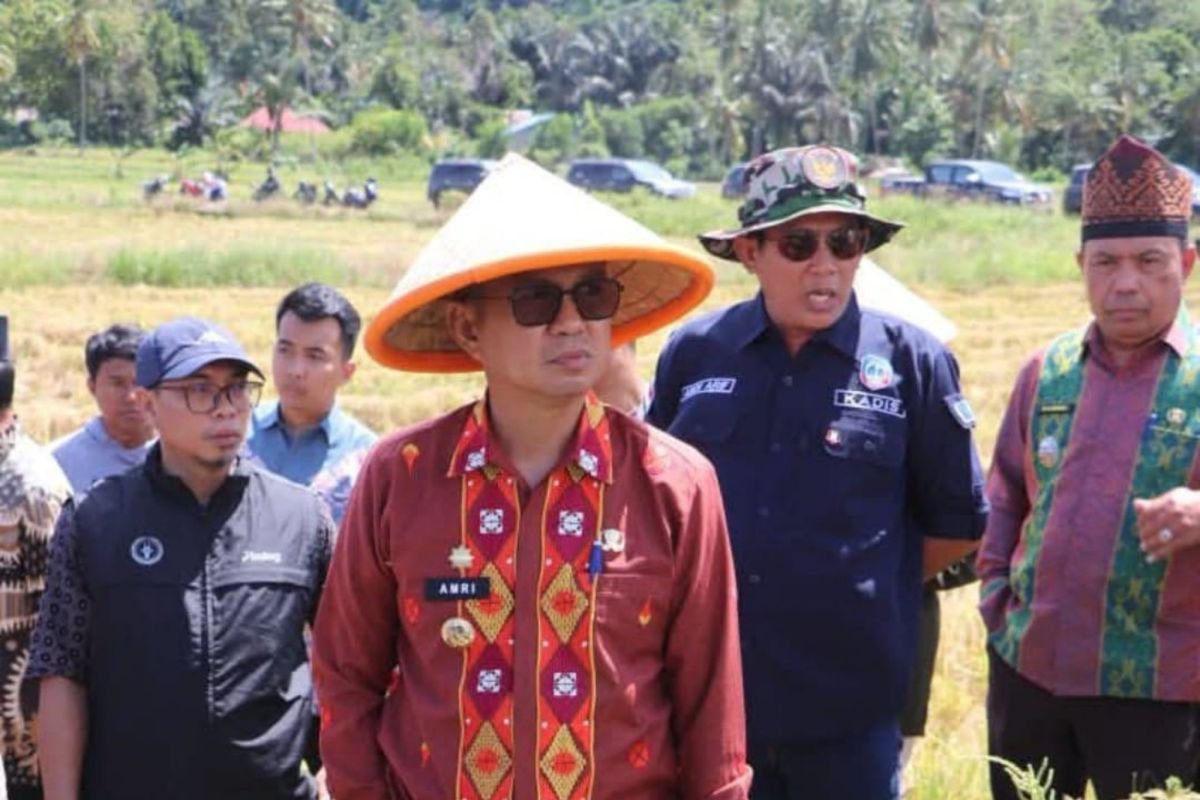 Bupati Kolaka panen raya padi bersama petani Wolo, tegaskan komitmen ketahanan pangan