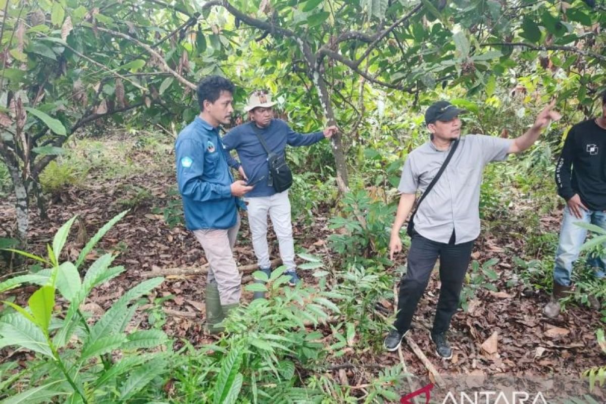 Pemprov Sultra cek ekosistem lahan Sekolah Garuda di Konsel