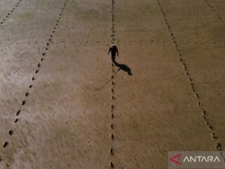 Kuota tambahan cetak sawaj baru di Konsel