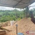 Aktivitas Co-Firing biomassa untuk PLTU buka peluang kerja di Konawe Selatan