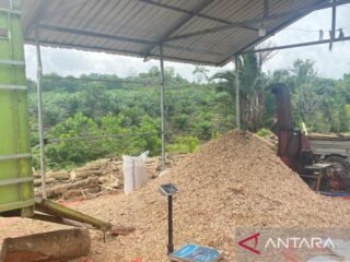 Aktivitas Co-Firing biomassa untuk PLTU buka peluang kerja di Konawe Selatan
