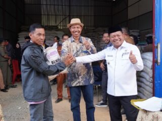 Bupati Harap Produksi Petani Sumarorong Naik Lewat Pupuk Gratis