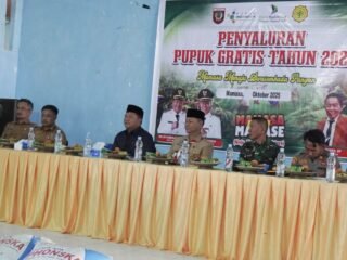 Kabupaten Mamasa Kembali Salurkan Pupuk Gratis untuk Empat Kecamatan